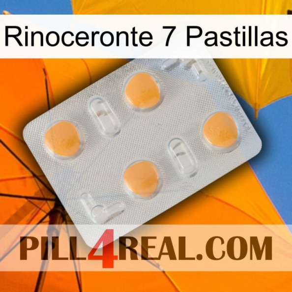 Rhino 7 Pills 24.jpg